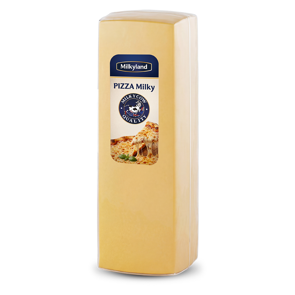 Pizza block 2.7 kg